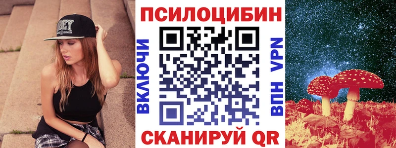 Купить где  Дмитриев  Галлюциногенные грибы GOLDEN TEACHER 